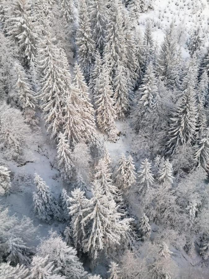 דירות היינצנברג Montepart Zillertal מראה חיצוני תמונה